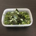 ☆こまっと☆'s cooksnap of when they made モロヘイヤとオクラの和え物(メモ).