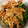 クックHN6F77☆'s cooksnap of when they made えのきのバター炒め.