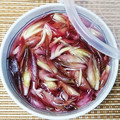 ＊れいぴん＊'s cooksnap of when they made みょうがの甘酢漬け.