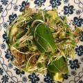 cucupa's cooksnap of when they made 止まらない！胡瓜とカイワレのおかか和え.