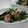 まろんかふぇ's cooksnap of when they made 後引くおいしいさ♪にらと鯖缶の胡麻油炒め.