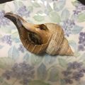 ☆こまっと☆'s cooksnap of when they made ヒメエゾボラ（青ツブ）のつぶ焼き.