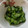 みちゃこmisako's cooksnap of when they made きゅうりとわかめの酢の物.