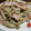 クック7FNN0F☆'s cooksnap of when they made えのきとベーコンのクミン炒め.