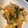 こはぺぇさん's cooksnap of when they made 豚こまと野菜のカレー炒め.