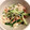 caruga's cooksnap of when they made あともう一品！きゅうりとカニカマのサラダ.
