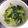 あっちゃーん＾—＾'s cooksnap of when they made あっという間！なんでも青菜炒め.