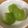 ネギがお好き's cooksnap of when they made シャインマスカット〜(o˘◡˘o)♡.