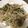 みりん調味料's cooksnap of when they made 舞茸ともやしピーマンベーコン炒め.