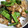 やさしい人's cooksnap of when they made モロッコいんげんと豚コマの塩炒め.