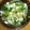 Rstat's cooksnap of when they made 簡単♪節約？玉ねぎとねぎの味噌汁.