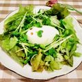 ももちゃんのれしぴ's cooksnap of when they made 巣ごもり卵のピリ辛レタスサラダ.