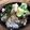 ぽーくさん's cooksnap of when they made アジの開きの冷や汁.