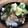ぽーくさん's cooksnap of when they made アジの開きの冷や汁.