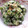 ♡こもれび♡'s cooksnap of when they made オクラわさびマヨ和え.