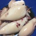 リンダA's cooksnap of when they made ヤリイカの煮付け.
