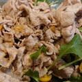 茶茶ちー's cooksnap of when they made 簡単☆豚しゃぶのさっぱり生姜焼き風.