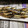 ゆけり３兄弟's cooksnap of when they made パパの焼きめざし（節分）.