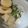 かいあママ's cooksnap of when they made 四角豆の味噌マヨ和え.