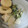 かいあママ's cooksnap of when they made 四角豆の味噌マヨ和え.