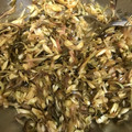 飛鳥丸's cooksnap of when they made 今夜のおつまみ★ミョウガと胡麻油の和え物.