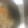 クックSB7K4U☆'s cooksnap of when they made ✿まいたけの炊き込みご飯♡麺つゆ簡単✿.