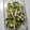 tamago大好き's cooksnap of when they made ★野菜の副菜★長芋とキュウリの梅和え.