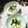 虹色♪︎ちゅーりっぷ's cooksnap of when they made *オクラとしらすのねっとり卵サラダ*.