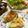 こんぺ１９'s cooksnap of when they made 基本のほうれん草とベーコンのキッシュ.
