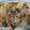 絵理香fl's cooksnap of when they made 簡単★ご飯が進む！牛肉と大根の炒め煮.