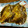 クック7FNN0F☆'s cooksnap of when they made 冷凍カレイ（切り落とし）の煮付け.