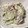 hm0731's cooksnap of when they made きゅうりとサバの水煮缶和え★.