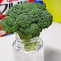 なななな♡MaMa's cooksnap of when they made ブロッコリーの新鮮が続く保存方法＾＾.