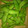 goma−goma's cooksnap of when they made うまい枝豆の茹で方.