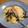 うきょたろう's cooksnap of when they made 簡単＊大根おろしとツナの和風パスタ.