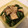ﾐｰﾄﾊﾟｲママ's cooksnap of when they made お弁当に✿いんげんとエリンギの胡麻和え.
