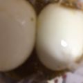 ma___111's cooksnap of when they made カレー研究会報告！カレー味の味玉半熟煮卵.