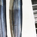 さんこうけいみい's cooksnap of when they made 秋刀魚の簡単内臓処理＆長持ち保存方法.