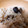 mani☆'s cooksnap of when they made 市販のむき栗を使って、簡単栗ご飯.