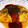 クックADLFEA☆'s cooksnap of when they made 玉ねぎと挽き肉の簡単オムレツ.