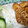 ふぉ子＊'s cooksnap of when they made 柔らか鶏むね肉とれんこんのオイスター炒め.