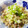 yasutonton's cooksnap of when they made 意外！（さば缶とみょうが）でそうめん.