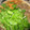 rose33's cooksnap of when they made クレソン鍋（すき焼き風）～♪.