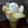 クックH86AFM☆'s cooksnap of when they made 桃パフェ★お家でとっておきのスイーツ♪.
