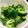 k☆mao's cooksnap of when they made ブロッコリーの茹で方.
