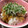 ハル0401's cooksnap of when they made 簡単甘旨♪【豚の照り焼き丼】.