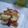 ぬこ殿！'s cooksnap of when they made さつまいもの梅和え.