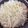 ルルルるか☆'s cooksnap of when they made ヘルシー簡単な！ひやむぎ野菜.