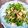 みゆ1126's cooksnap of when they made 簡単やみつき豆苗サラダ.