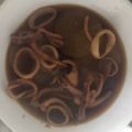 いずみはる's cooksnap of when they made 大根と冷凍イカの煮物.
